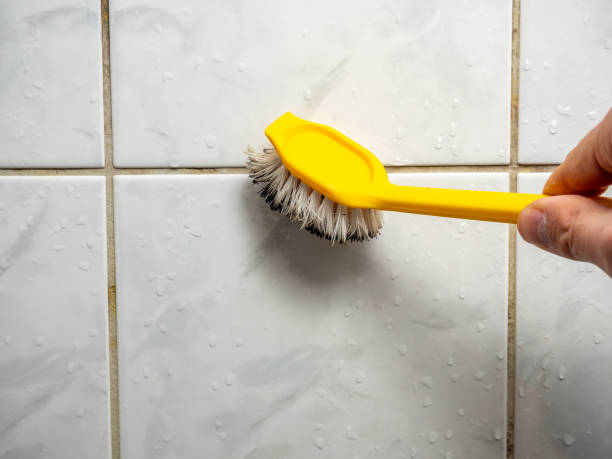 Best Office Mold Removal Services  in Twain Harte, CA