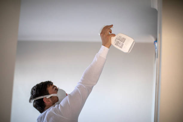 Best Mold Testing and Removal  in Twain Harte, CA