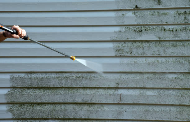 Mold Removal Process in Twain Harte, CA
