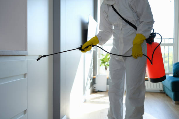 Best Mold Removal Near Me  in Twain Harte, CA
