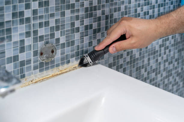 Best Emergency Mold Removal  in Twain Harte, CA