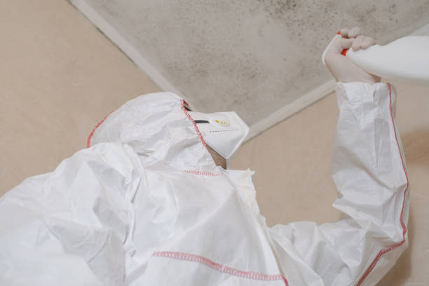 Best Mold Removal Process  in Twain Harte, CA