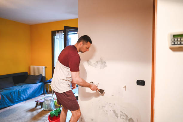 Best Best Mold Removal Companies  in Twain Harte, CA