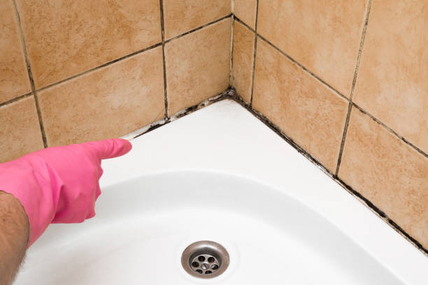 Best Water Damage Restoration  in Twain Harte, CA